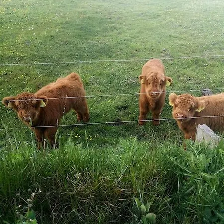 Klintgarden Lägenhet Martofte