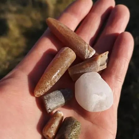 Klintgarden דירה