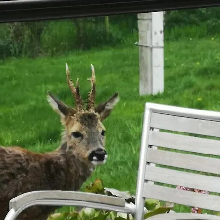 Lägenhet Klintgarden *