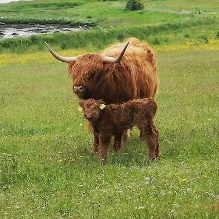 דירה Klintgarden *